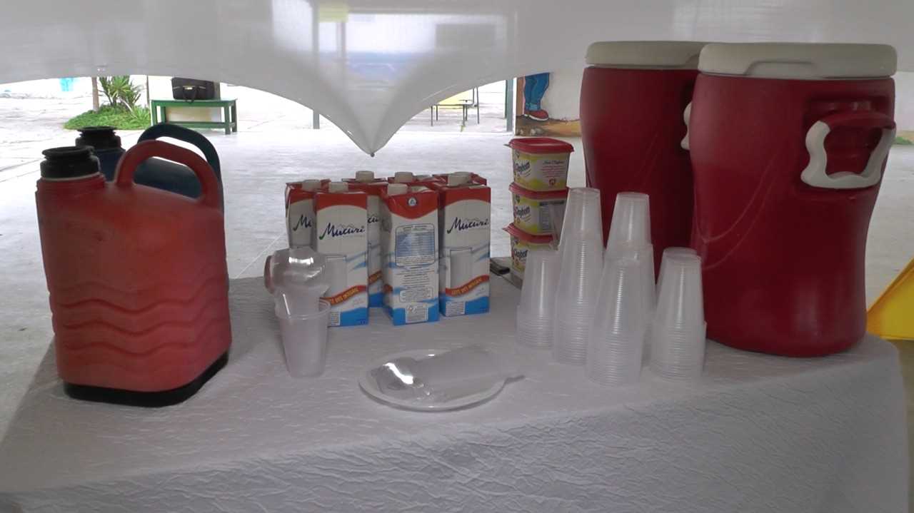 Festa dos Garis